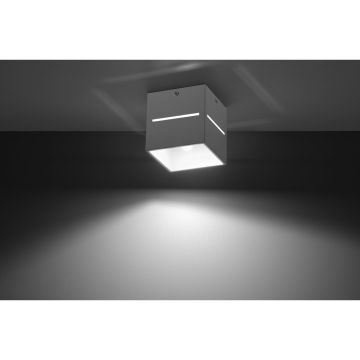 Sollux LOBO SL.0209 Lubų šviestuvas 1x40W/G9