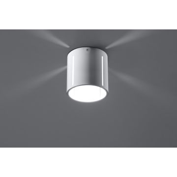 Sollux INEZ SL.0355 Lubų šviestuvas 1x40W/G9