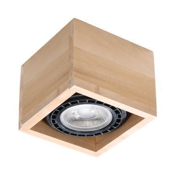 Sollux QUATRO 1 SL.0915 Lubų šviestuvas 1x40W/GU10 IP20