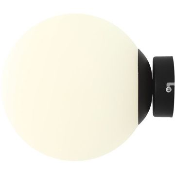 Aldex BALL 1076C1_M Sienos lempa 1x15W/E27 IP20