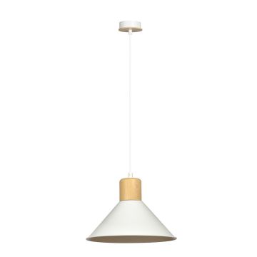 Emibig ROWEN 1045/1 Pakabinama lempa 1x15W/E27 IP20