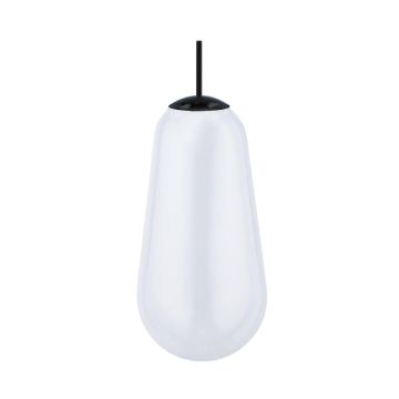 Nowodvorski CAMELEON PEAR L 10328 Apsauginis dangtis