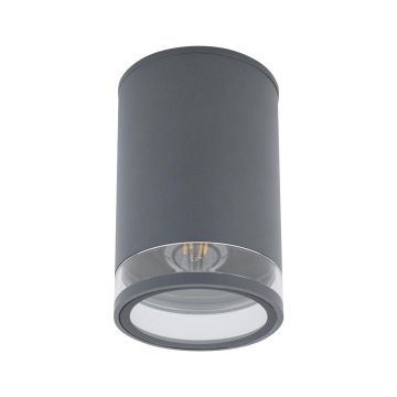 Nowodvorski ROCK PRO 10687 Lubų šviestuvas 1x25W/e27 IP44