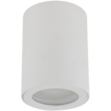 TK Lighting LIGNO 10932 Lubų šviestuvas 1x10W/GU10 IP44