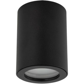 TK Lighting LIGNO 10933 Lubų šviestuvas 1x10W/GU10 IP44