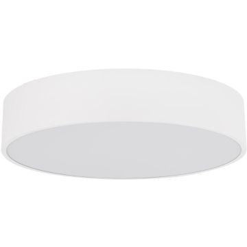 TK Lighting LIVO 10987 Lubų šviestuvas 4x15W/E27 IP54