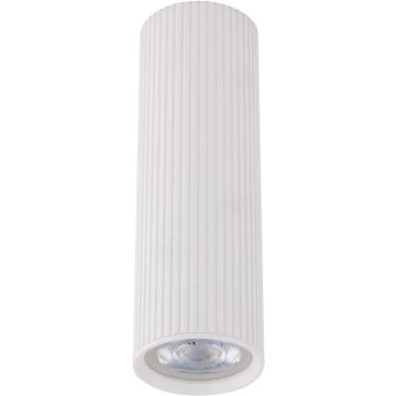 TK Lighting TUNE 10025 Lubų šviestuvas 1x10W/GU10 IP20