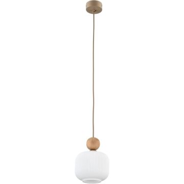 TK Lighting BALLO 11049 Pakabinama lempa 1x10W/E14 IP20