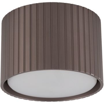 TK Lighting FERRO 11656 Lubų šviestuvas 1x8W/gx53 3000K 560lm IP20