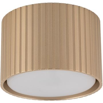 TK Lighting FERRO 11657 Lubų šviestuvas 1x8W/gx53 3000K 560lm IP20