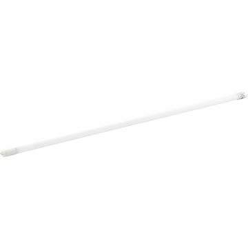 Eglo LEDG13 110341 Lemputė 1x15w/G13 4000k