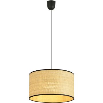 Emibig ASTON 1149/1 Pakabinama lempa 1x40W/E27 IP20