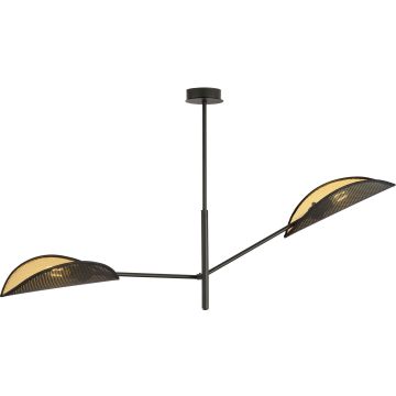 Emibig VENE 1158/2 Stropo šviestuvas 2x40W/E14 IP20