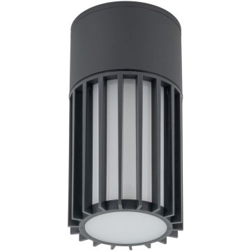 TK Lighting RIBO 11508 Lubų šviestuvas 1x15W/E27 IP54