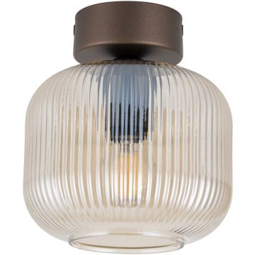 TK Lighting SALVIA 11358 Stropo šviestuvas
