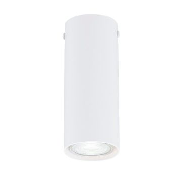 Emibig TECNO 1317/1S Lubų šviestuvas 1x8W/GU10 IP20