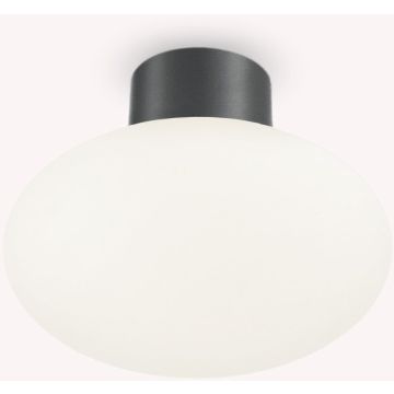 Ideal Lux CLIO 148861 Stropo šviestuvas 1x42W/E27 ip44