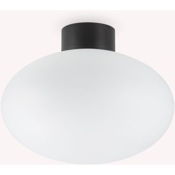 Ideal Lux CLIO 148878 Stropo šviestuvas 1x42W/E27 ip44