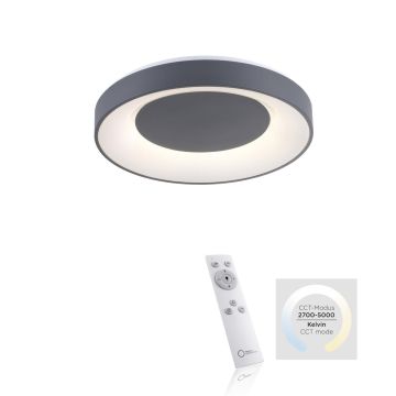 Paul Neuhaus ANIKA 14326-18 Lubų šviestuvas 1x26,5W/LED 5000K 1450LM IP20