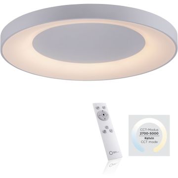 Paul Neuhaus ANIKA 14327-16 Lubų šviestuvas 1x60W/LED 2700-5000k 6600lm ip20