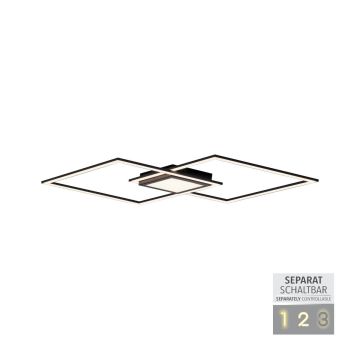 Paul Neuhaus ASMIN 14695-18 Lubų šviestuvas 1x45W/LED 3000K 2980LM IP20