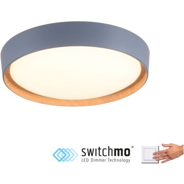 Paul Neuhaus EMILIA 14347-15 Stropo šviestuvas 1x32W/LED 3000k 3400lm ip20