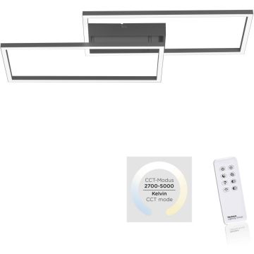 Paul Neuhaus IVEN 14140-18 Stropo šviestuvas 2x30W/LED 2700-5000k 3500lm ip20