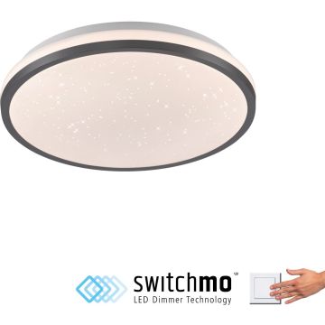 Paul Neuhaus KYLE 14293-18 Lubų šviestuvas 1x12W/LED 3000k 1380lm ip20