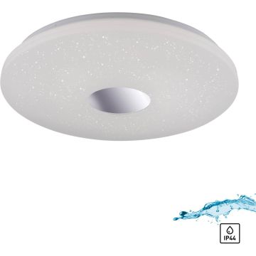 Paul Neuhaus LAVINIA 14822-17 Lubų šviestuvas 1x40W/LED 3000k 3200lm ip44