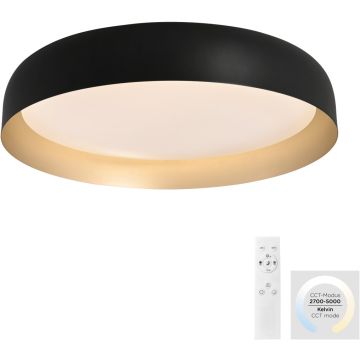 Paul Neuhaus OSKO 14216-18 Stropo šviestuvas 1x40W/LED 2700-5000k 3850lm ip20
