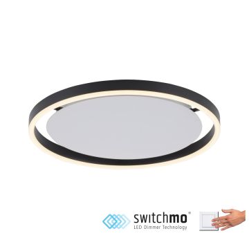 Paul Neuhaus RITUS 15391-13 Lubų šviestuvas 1x20W/LED 3000K 800LM IP20