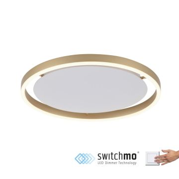 Paul Neuhaus RITUS 15391-60 Lubų šviestuvas 1x20W/LED 3000K 1060LM IP20