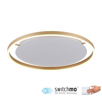 Paul Neuhaus RITUS 15392-60 Lubų šviestuvas 1x28W/LED 3000K 1550LM IP20