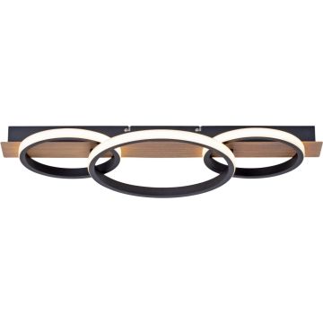 Paul Neuhaus TROOPER 15616-78 Stropo šviestuvas 1x41W/LED 3000k 4600lm ip20