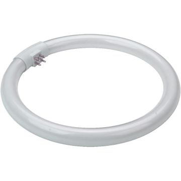 Prezent OTHERS BULBS 17007 TUBE Lemputė 28w/t5