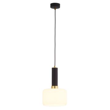 Jupiter VANES 1852 Pakabinama lempa 1x15W/E27 IP20