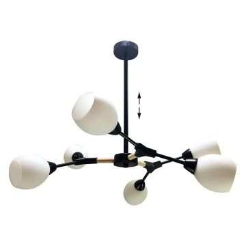 Prezent CITTERIO 18300 Stropo šviestuvas 6x40W/E14 IP20