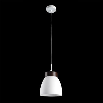 Prezent FOCUS 18069 Pakabinama lempa 1x40W/E27 IP20