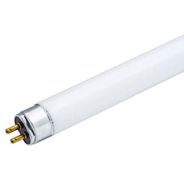 Prezent PICASSO CLASSIC 181 TUBE Lemputė 8w/t5 2700k