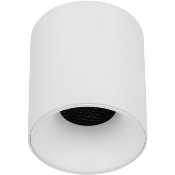 TK Lighting BLAZE 18157 Lubų šviestuvas 1x12W/LED 3000/4000/6000 K 500lm IP20