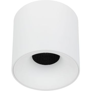 TK Lighting BLAZE 18161 Lubų šviestuvas 1x30W/LED 3000/4000/6000 K 1493lm IP20