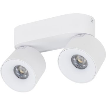 TK Lighting SPARK 18171 Taškinis šviestuvas 2x10W/LED 3000/4000/6000 K 965lm IP20