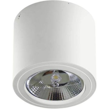 AZzardo ALIX 230V AZ3541 Lubų šviestuvas 1x50W/ES111/GU10 IP20