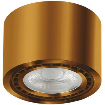 AZzardo ECO ALIX AZ3496 Lubų šviestuvas 1x35W/GU10/ES111 IP20