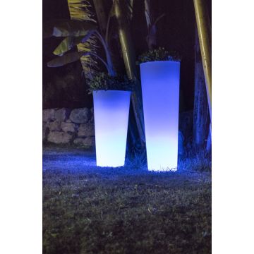 New Garden FICUS 3343 Stovinė lempa 1x5W/LED 6000k 600lm ip65
