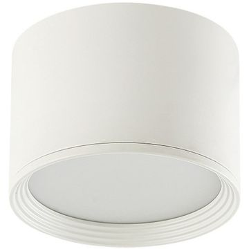 Zambelis CEILING LIGHT 22133 Lubų šviestuvas 8W/led 3000K 454lm IP20