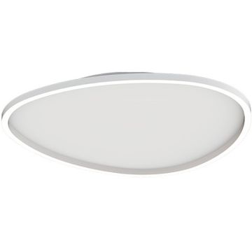 Zambelis CEILING LED LAMP 23209 Lubų šviestuvas 39W/led 3000K 2602lm IP20