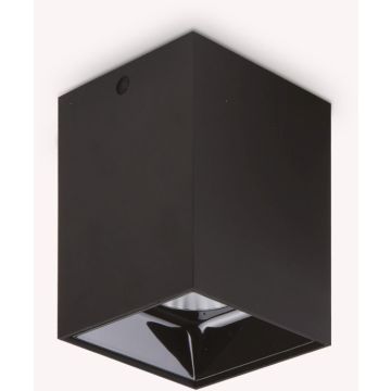 Ideal Lux NITRO 206028 Lubų šviestuvas 1x15W/LED 3000K ip20