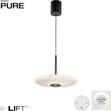 Paul Neuhaus PURE E-Vitrum 2084-34 Pakabinama lempa 1x26W/LED 2700-5700k 1900lm ip20