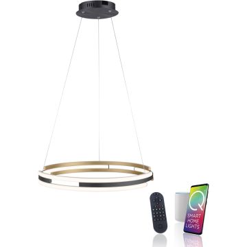 Paul Neuhaus Q-BELUGA 2051-60 Pakabinama lempa 1x62W/LED 2700-5000k 6900lm ip20